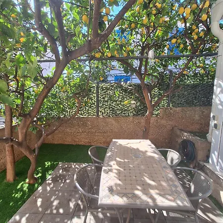 Apartment Lemon Garden