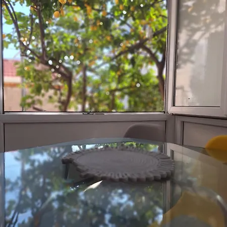 Lemon Garden 公寓 杜布罗夫尼克