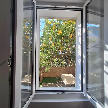 公寓 Lemon Garden 杜布罗夫尼克