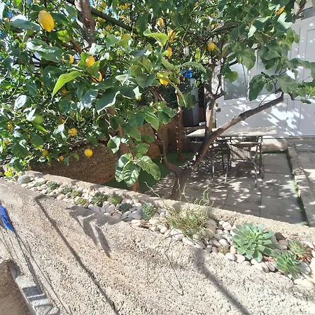 Lemon Garden 杜布罗夫尼克